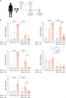 The fungal-derived compound AM3 modulates pro-inflammatory cytokine production and skews the differentiation of human monocytes